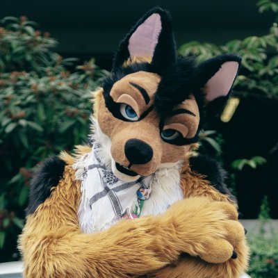 Consider following over here, too:
https://t.co/LVEAfAVHLU