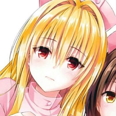 Shx__xao's profile picture. 