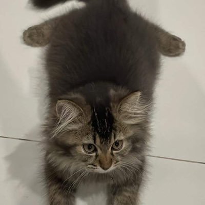 daisy26237's profile picture. 