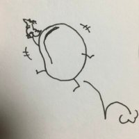 O-mame (@soybeans0926) 's Twitter Profile Photo O-mame (@soybeans0926) 's Twitter Profile Photo