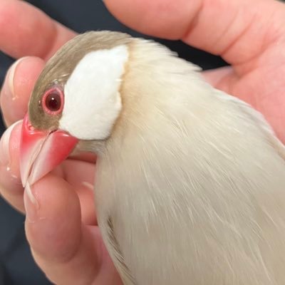 たけおさんのプロフィール画像