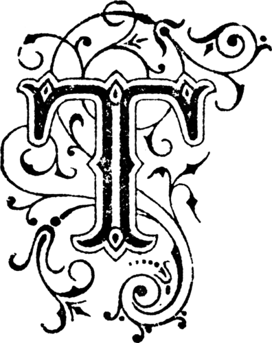 tomalynne's profile picture. It's just me.