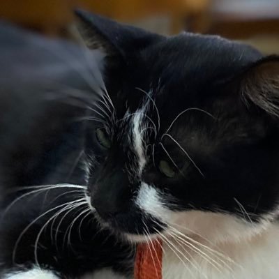 charlottee1516's profile picture. 