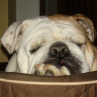 Don Smith (@smitty1038312) 's Twitter Profile
