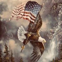 Pat Patriot (@kashunco) 's Twitter Profile