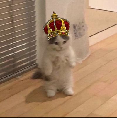 mojnm707's profile picture. Investor in crypto markrt, Introducee under value and unknown gem
🏅🥇1000x