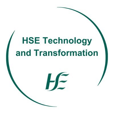 HSE Technology and Transformation Profile