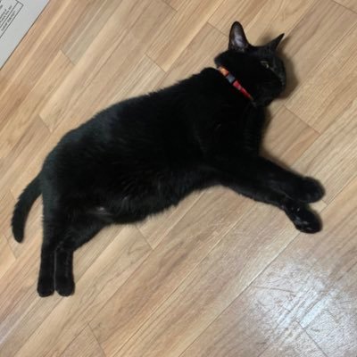 MO5515686554051's profile picture. 企業投資等々