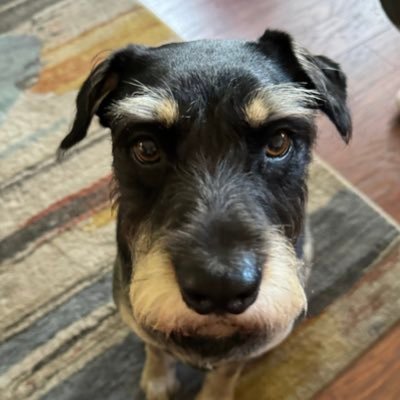 JudithOhara's profile picture. Happily married! NO DMs