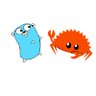 terminalFun's profile picture. Making use of compilers! @Golang @grpcio @AWS @rustlang Experimental Account