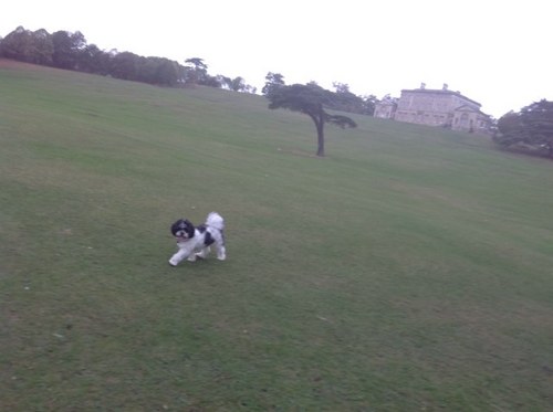 Allotmentmummy's profile picture. A busy mum of 2 trying to grow fresh and healthy foods.  if i teach my kids something along the way its a bonus