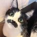Enjun (@afifenjun) Twitter profile photo Enjun (@afifenjun) Twitter profile photo