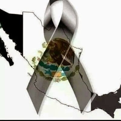 Alejand25959720's profile picture. Me encanta ser mexicano, odio la corrupción de los gobiernos, en especial la 4t