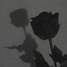 1ibwj's profile picture. سبحان الله وبحمده.