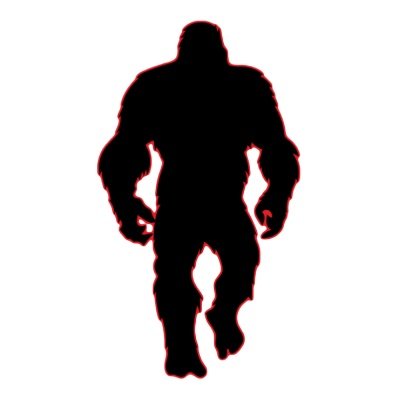 SquatchYT's profile picture. 