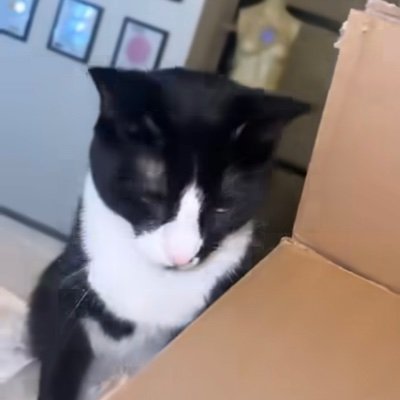 CloetteF63298's profile picture. 