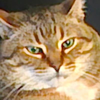 Lillyofthe_vali's profile picture. 22