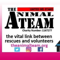 The Animal Team (@the_animal_team) 's Twitter Profile Photo The Animal Team (@the_animal_team) 's Twitter Profile Photo