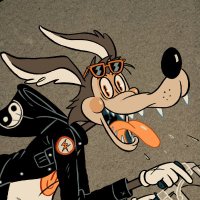 NOiSY COYOTE (@noisy_coyote) 's Twitter Profile Photo NOiSY COYOTE (@noisy_coyote) 's Twitter Profile Photo