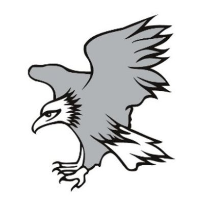 We are #TeamEagle! House Champions 2024, Sports day winners 2024, Attendance winners 2024 and House Point winners 2024! Swifter, Higher, Stronger!