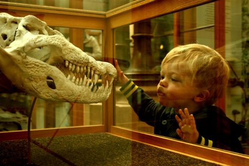 sasaboon's profile picture. 