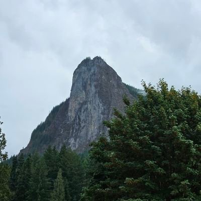 Nichola85841185's profile picture. 