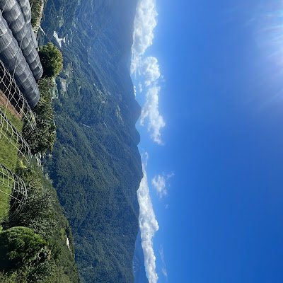 cken1015's profile picture. Hi