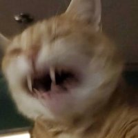 SSStOrM (@storm114514) 's Twitter Profile Photo