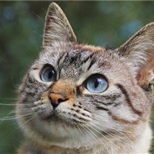 Mai924821716398's profile picture. 副業で安定した収入を得る方法を紹介中。副業初心者に役立つ情報を提供。ほんの僅かですが現金配布企画もしております♬ 期間限定▶ https://t.co/kd7ilb9ZUP