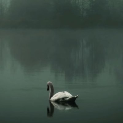 BethAurea89's profile picture. Pequeña edad oscura