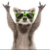 frankmatani's profile picture.