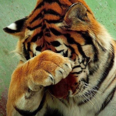 marcel😖さんのプロフィール画像