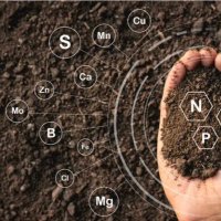 Activated Carbon Technologies (@activatedag) 's Twitter Profile