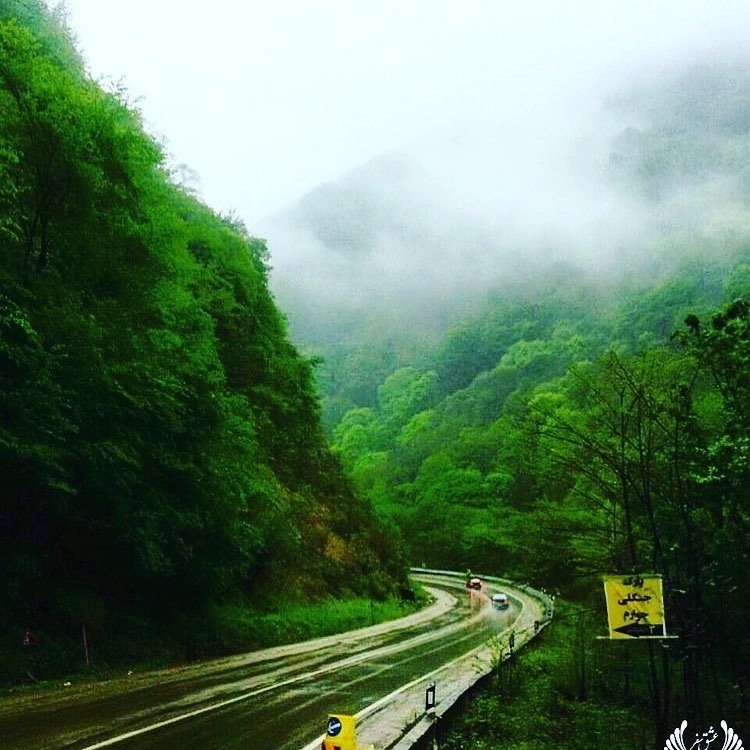 FatemaBekhetaar's profile picture. ما خانه به دوشیم غم سیلاب نداریم، ما جز پسر فاطمه ارباب نداریم.