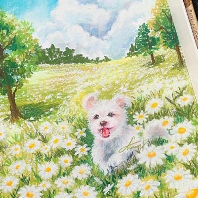 damda777's profile picture. 🌱 nevertheless,