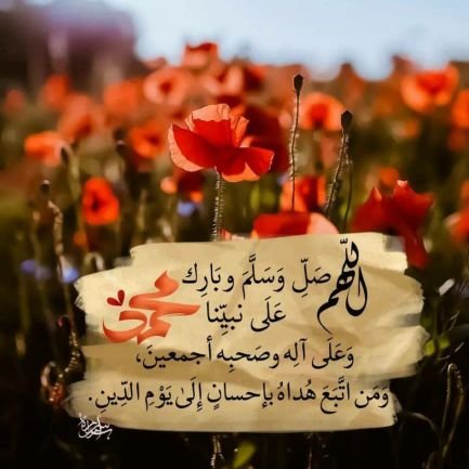 عيون Profile
