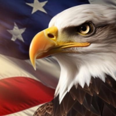 terp659's profile picture. X has become the go to place for real news!!!