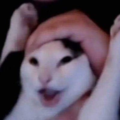 alesis061's profile picture. Me siento como el pingüino todo jodido de toy story.