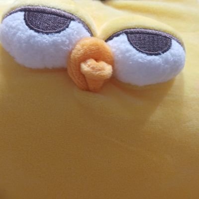 sogieiroeodさんのプロフィール画像
