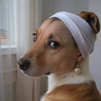 Blaq boy migro๐๐ฌ๐ญ๐ด๓ ง๓ ข๓ ฅ๓ ฎ๓ ง๓ ฟ (@kardinsparks) 's Twitter Profile
