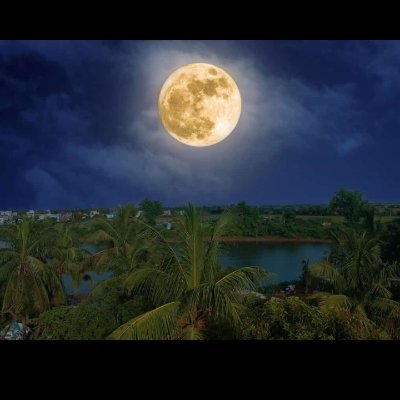 IndraKondi's profile picture.