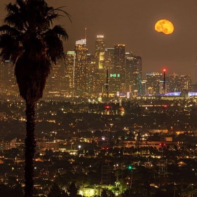 Erdem83667077's profile picture. 