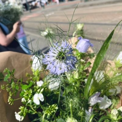 o0tamac0o's profile picture. 【当方鍵付きの個人的ポストにより、フォロワー整理しました🙇‍♀️】フランス在住な人。毒針持ったさそり座の女。音楽と自然と美しいものが好き。未熟者ですが広い心と深い慈悲を持ちたいと思い足掻きながら生きる様子を呟くアカウントです。よろしく(˙◁˙