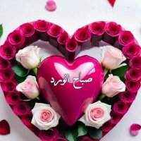 معلومات صحيه ورياضيه (@terestpa) Twitter profile photo
