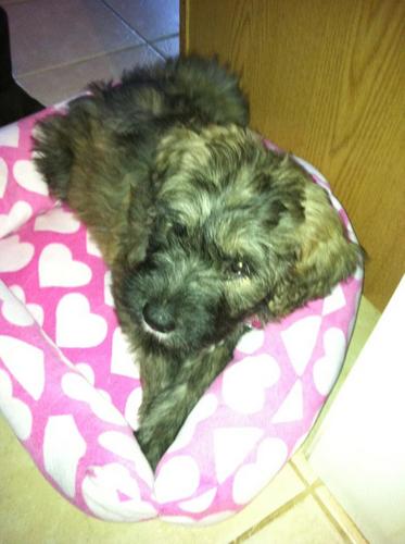 MaryEdnaGayton's profile picture. 