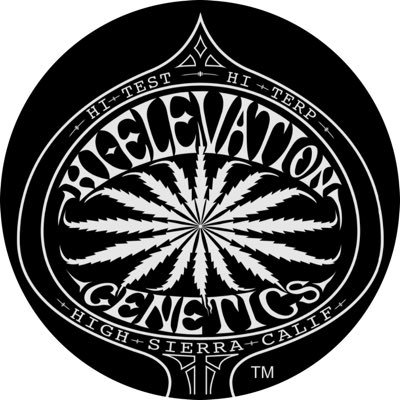 Shapeshifter’s seed bank! (Originator of @Freakshowstrain) specializing in cultivars with unique aromas and rare traits 🌱 Family owned and operated 💚