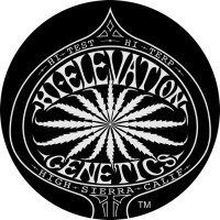 Hi-Elevation Genetics (@hielevationseed) 's Twitter Profile Photo