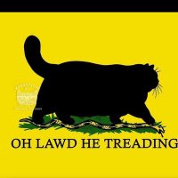 Texas gun nut (@texas_gun_nut) 's Twitter Profile