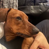 jandra (@jandraba12) 's Twitter Profile