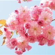 収入アップ実践テクニックや副業情報など紹介したりしています。私自身お金に苦労したのでお金に困っている人を救いたいと思い、多少ですが10万円プレゼント企画を始めました♪ なくなり次第終了→ https://t.co/cadft7nCUT